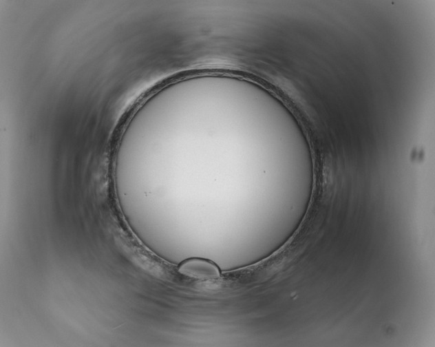 X0000111371364200907241236