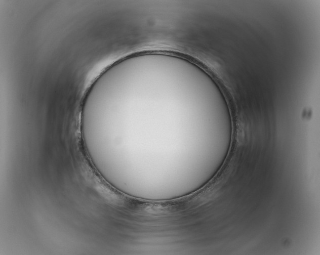 X0000111371366200907241236