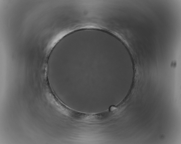 X0000111371367200907241236