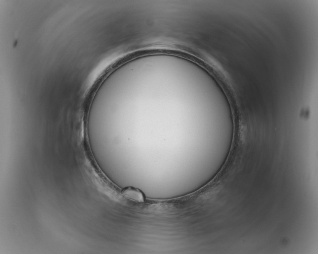 X0000111371368200907241236