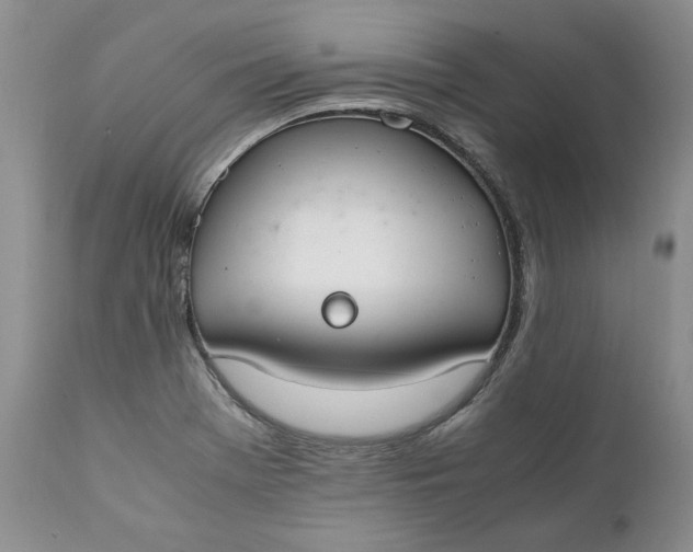 X0000111371369200907241236