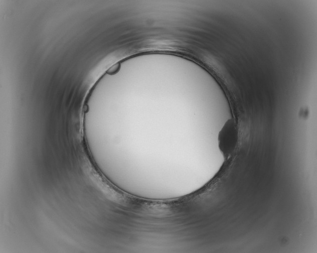 X0000111371370200907241236