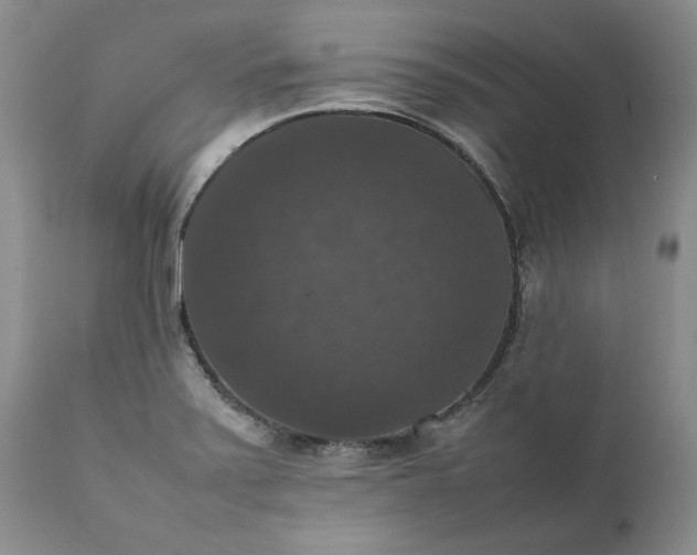 X0000111371371200907241236