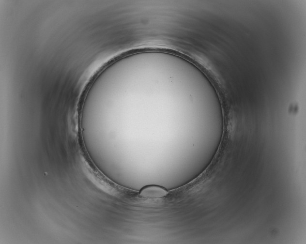 X0000111371372200907241236