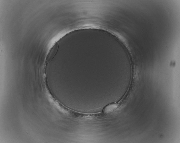 X0000111371373200907241236