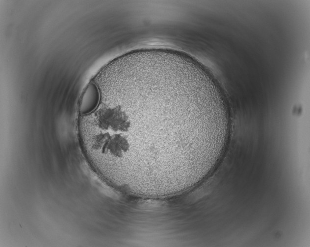 X0000111371374200907241236