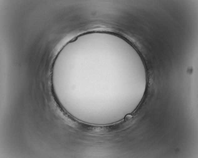 X0000111371375200907241236