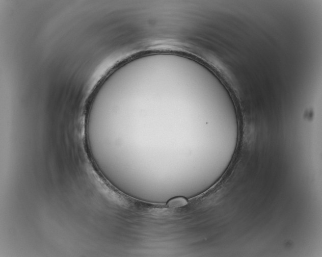 X0000111371376200907241236