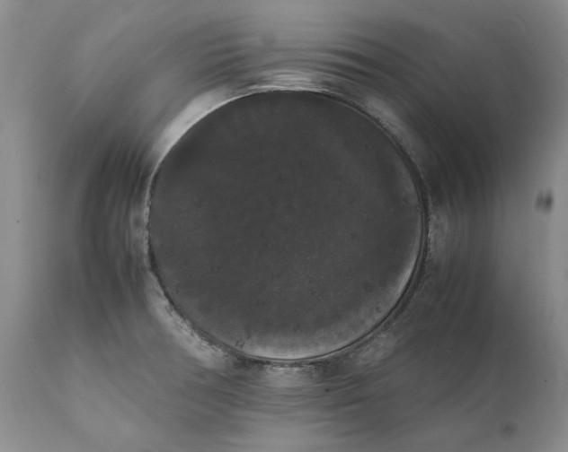 X0000111371378200907241236