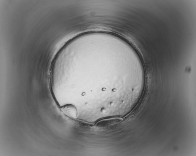 X0000111371379200907241235