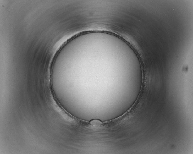 X0000111371380200907241235