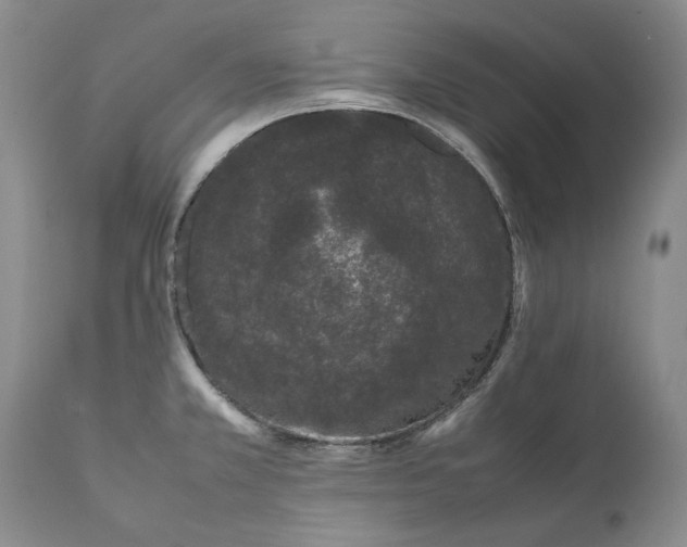 X0000111371381200907241235