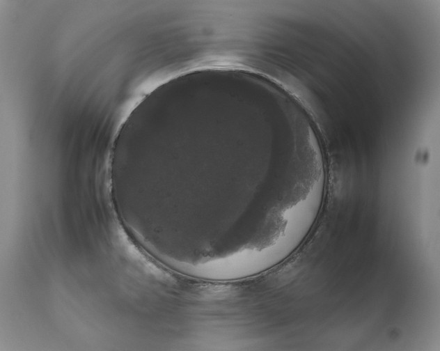 X0000111371382200907241235