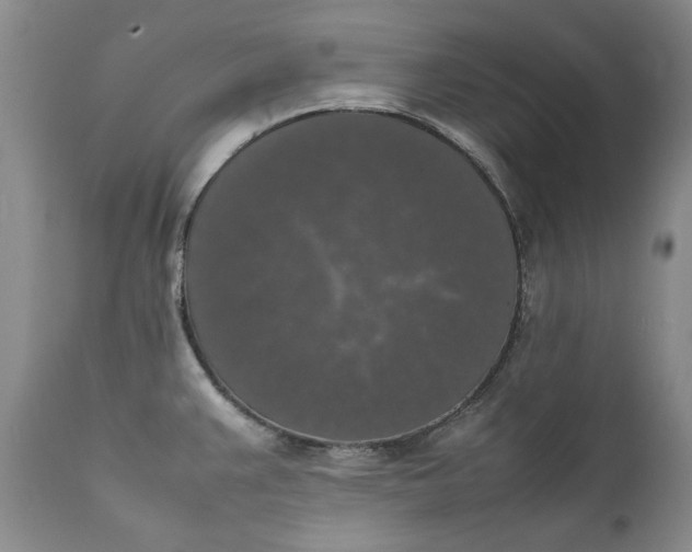 X0000111371383200907241235