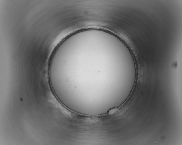 X0000111371384200907241235