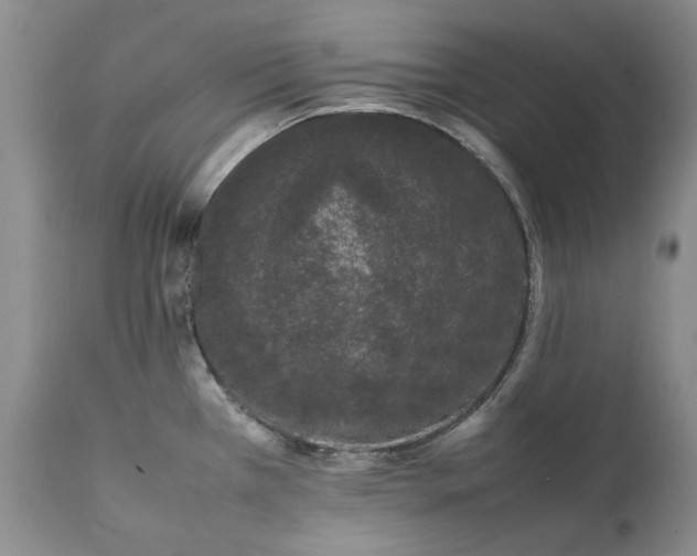 X0000111371385200907241235