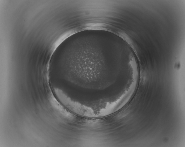 X0000111371386200907241235