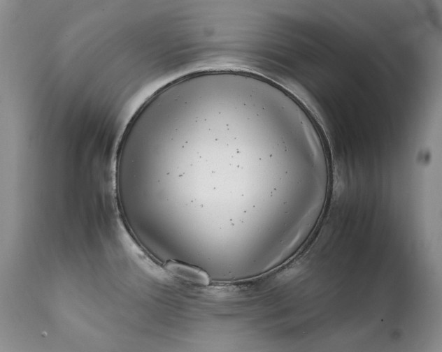 X0000111371388200907241235