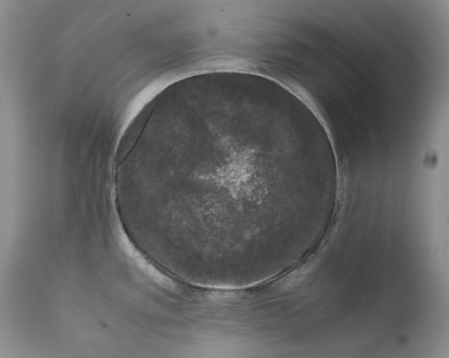 X0000111371389200907241235