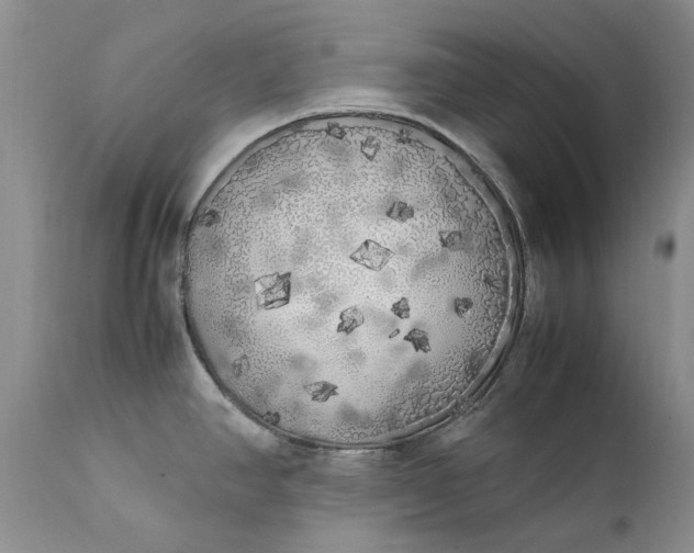 X0000111371390200907241235