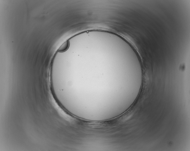 X0000111371391200907241235