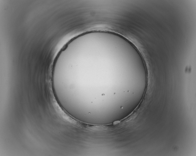 X0000111371392200907241235