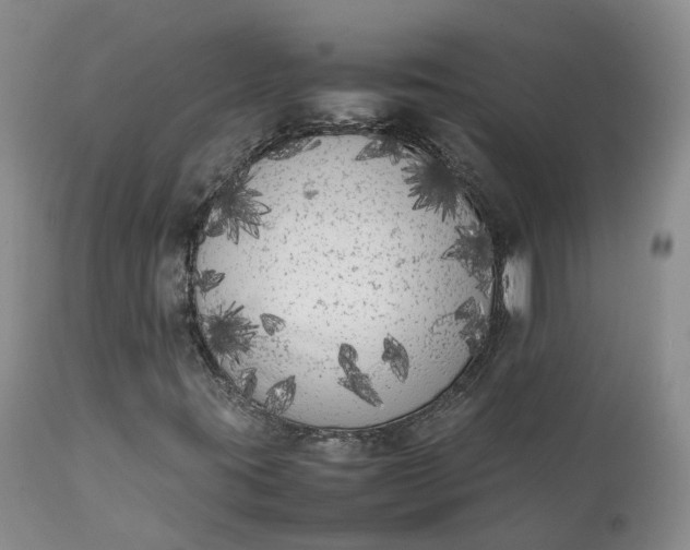 X0000111371395200907241235