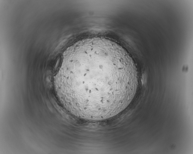 X0000111371396200907241235