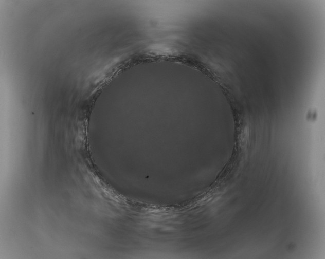 X0000111371397200907241235