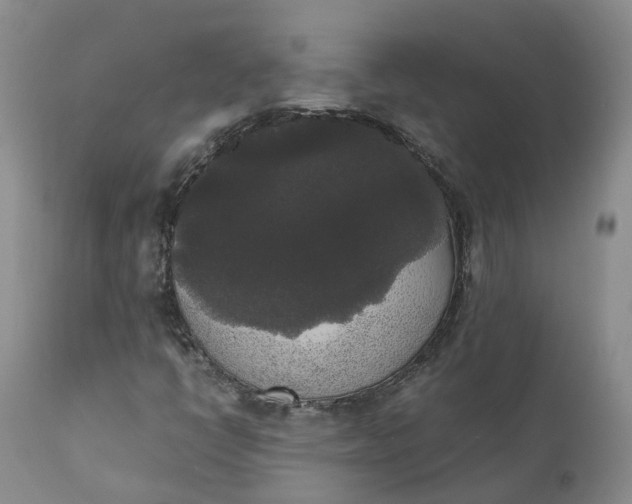 X0000111371398200907241235