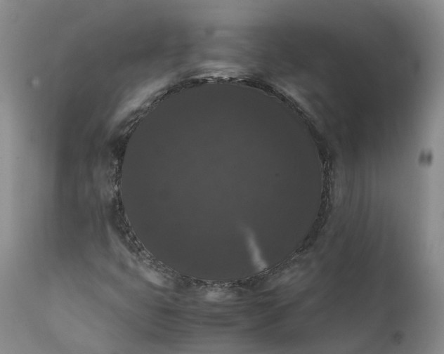 X0000111371399200907241235