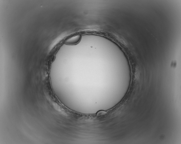 X0000111371400200907241235