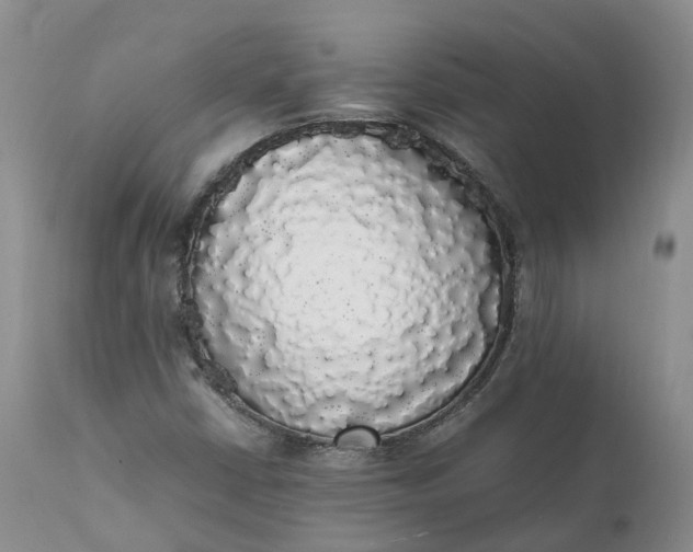 X0000111371402200907241235