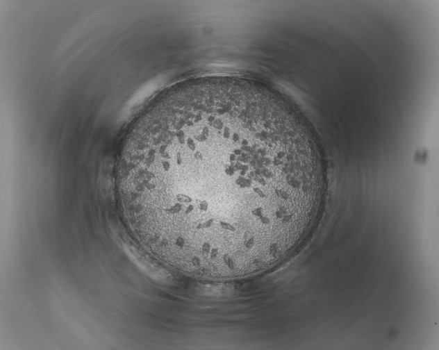 X0000111371403200907241235