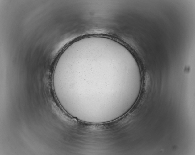 X0000111371404200907241235