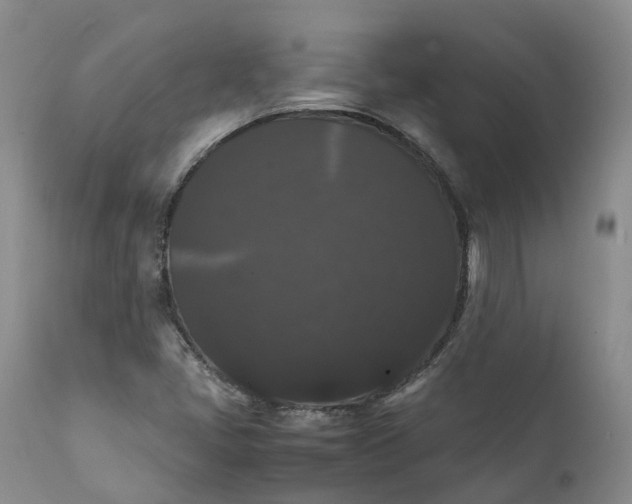 X0000111371405200907241235