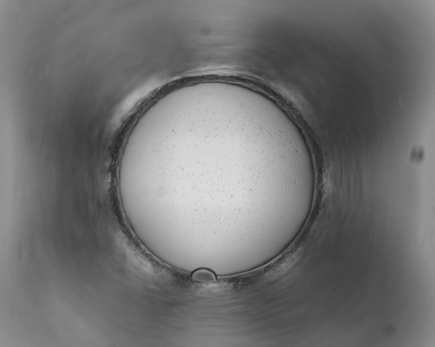 X0000111371406200907241235