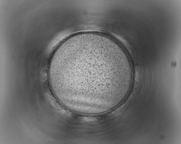 X0000111371407200907241235