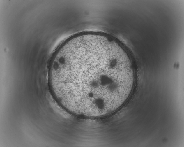 X0000111371408200907241235