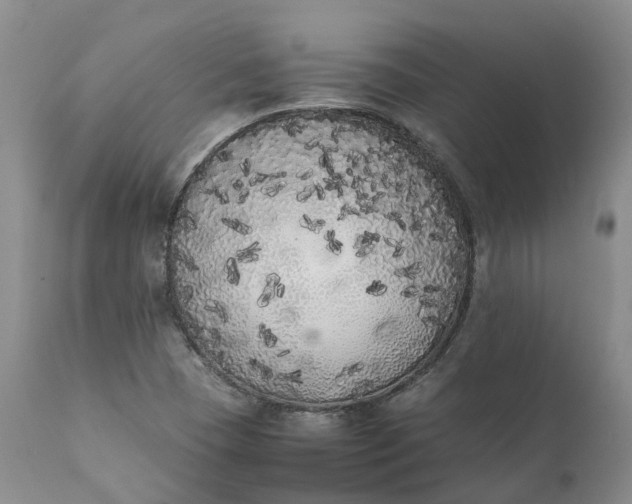 X0000111371409200907241235