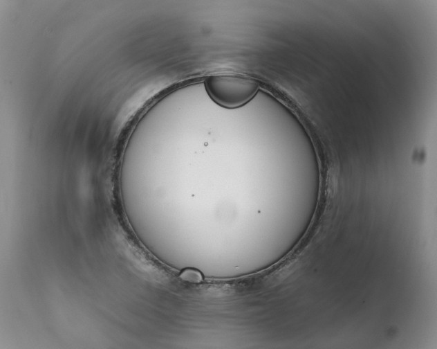 X0000111371410200907241235