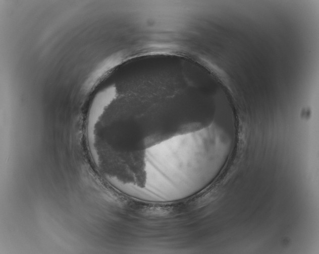 X0000111371411200907241235