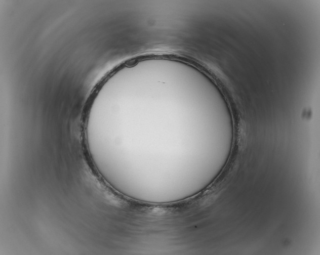 X0000111371412200907241235