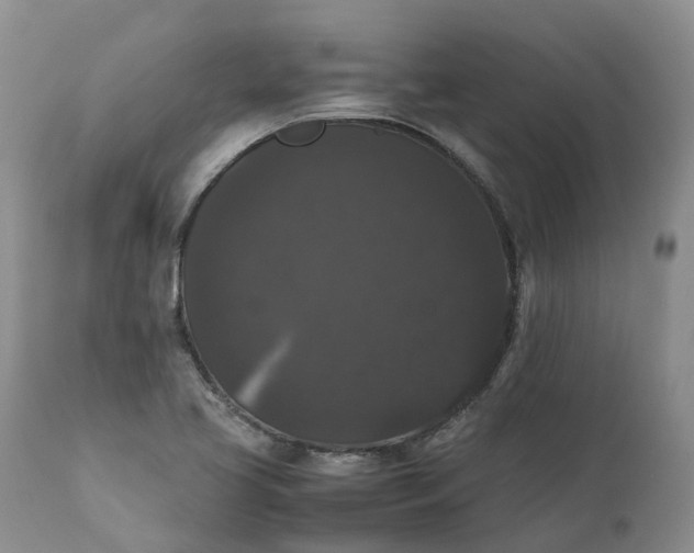 X0000111371413200907241235