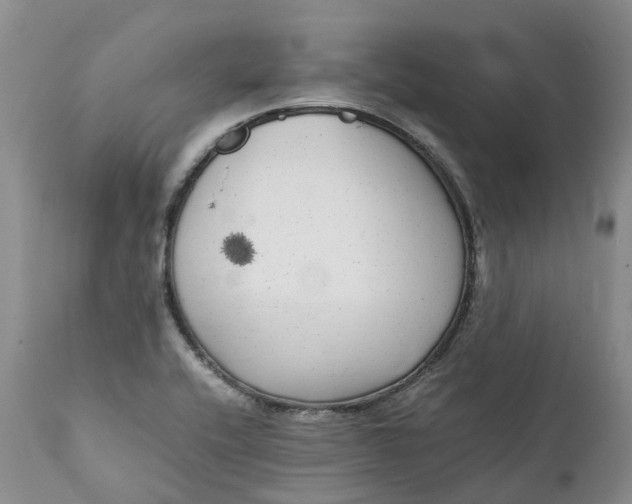 X0000111371416200907241235