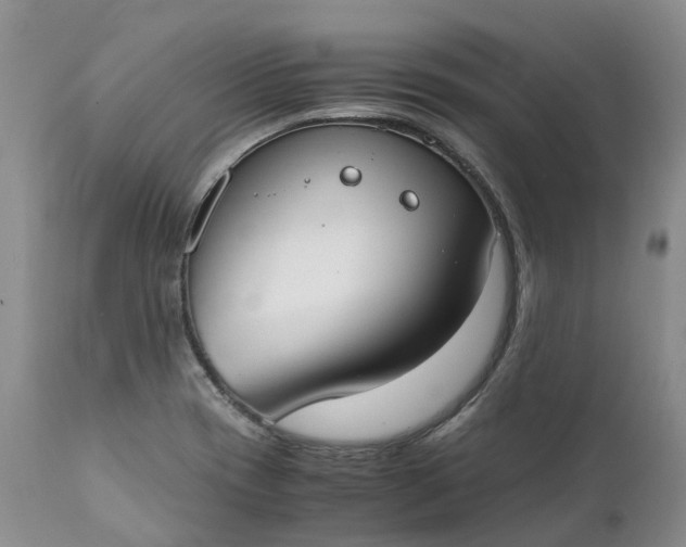 X0000111371417200907241235