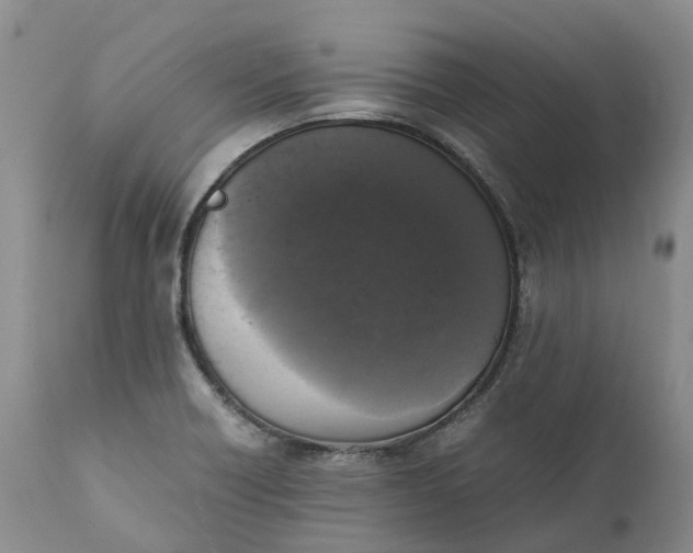 X0000111371418200907241235