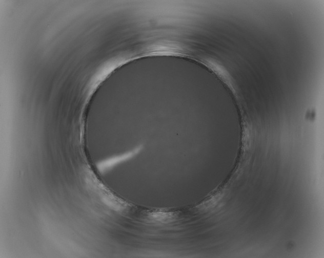 X0000111371419200907241235