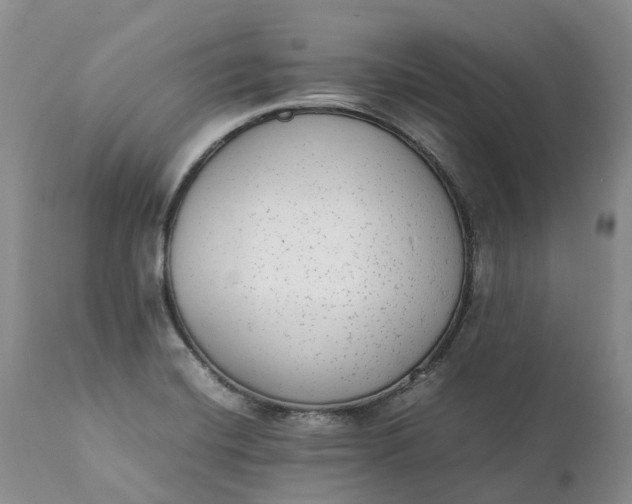 X0000111371420200907241235