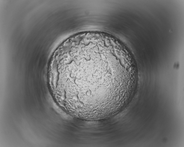 X0000111371421200907241235